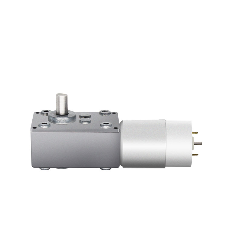 Umur dawa 12V Worm Gearbox Dc Motor